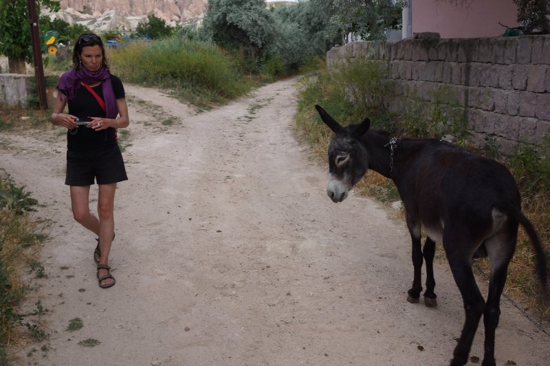Johanna being chased by a donkey