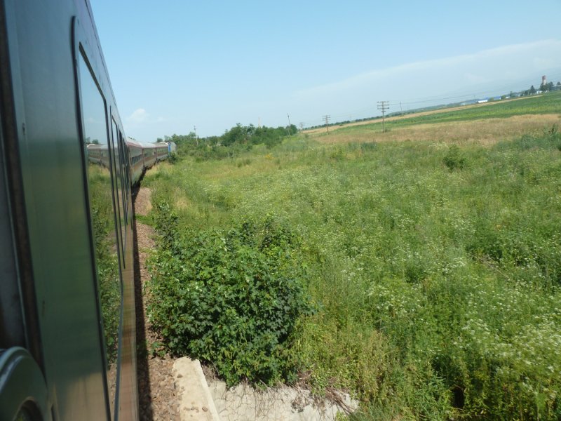The train to Bucharest