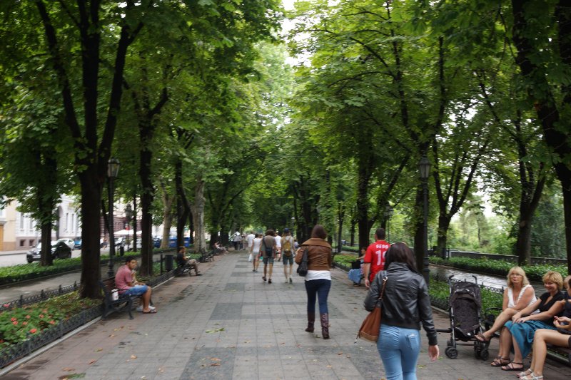 Odessa is very very green all over