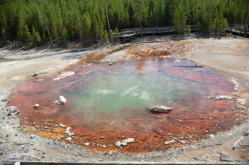 Yellowstone - Acid pool in Norris