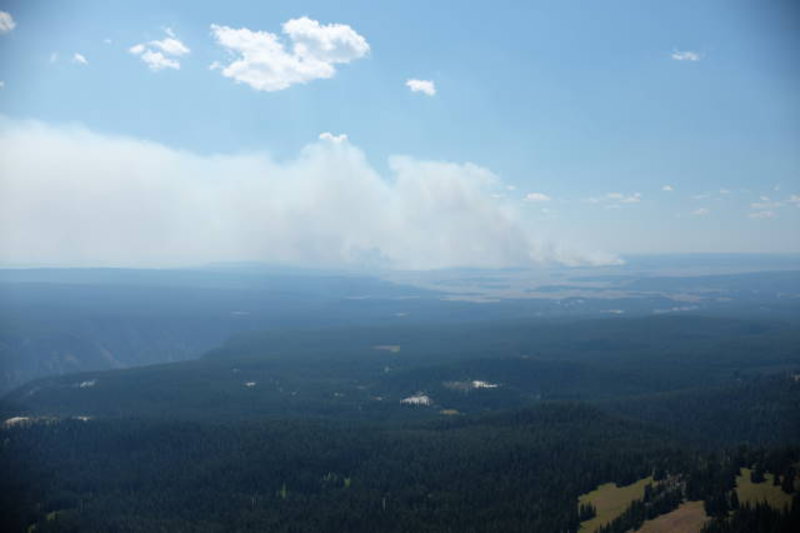 Yellowstone - Forrest fire