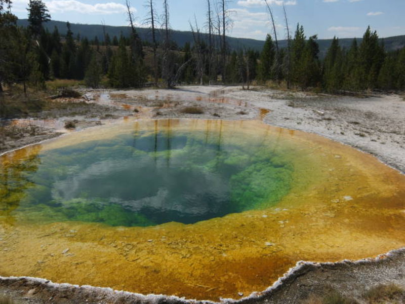 Yellowstone - Morning Glory pool