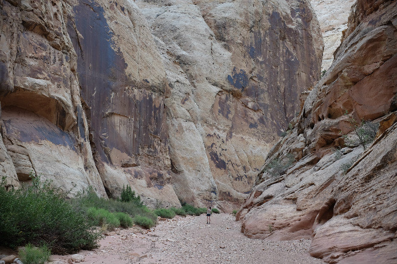 Hiking in Capitol Reef 2