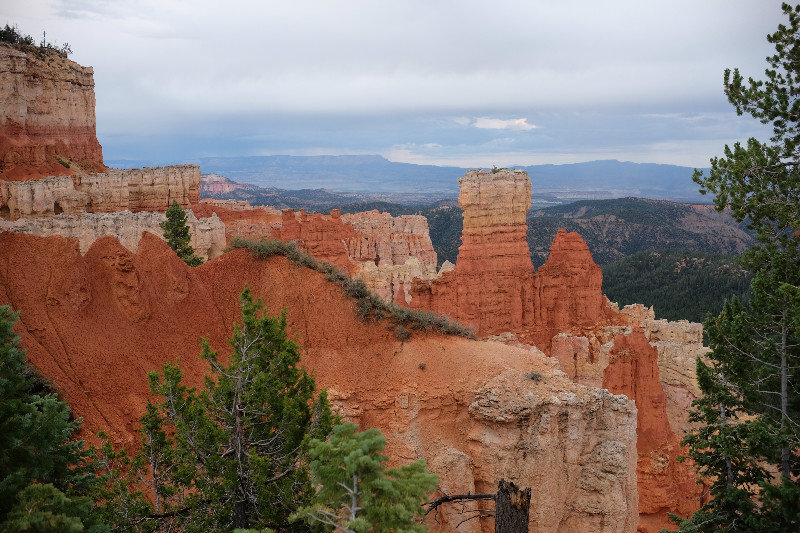 Yet another Bryce viewing point