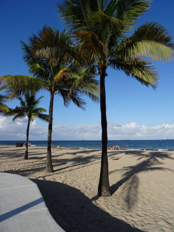 Fort Lauderdale - Palms at the Beach