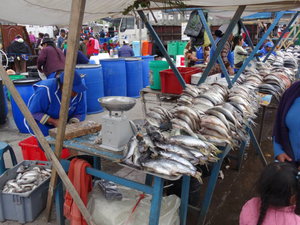 Quilotoa - the fish market