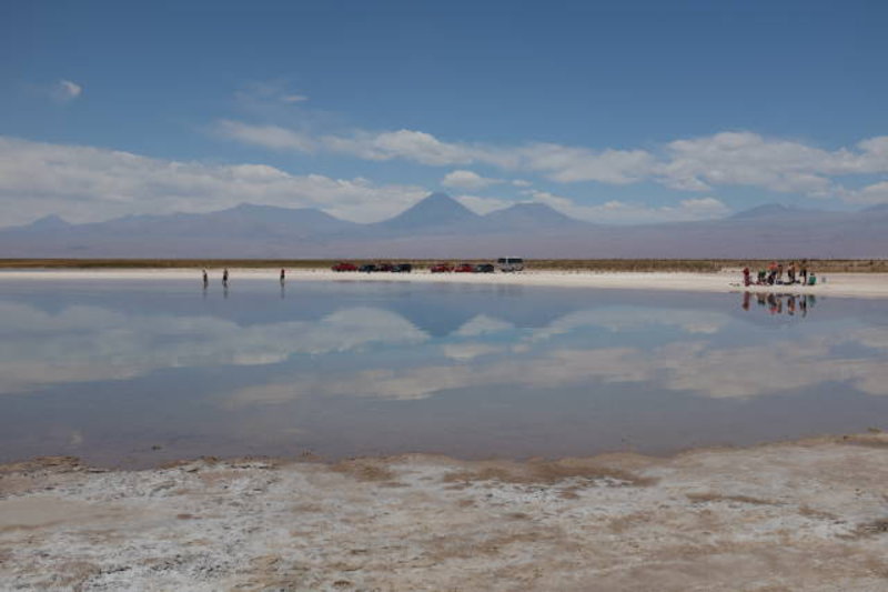 San Pedro de Atacama - Laguna Cejar