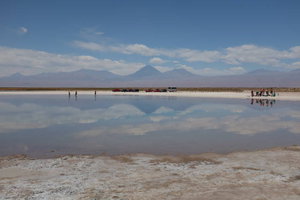 San Pedro de Atacama - Laguna Cejar