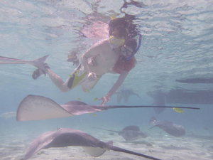 Bora Bora - swimming with rays
