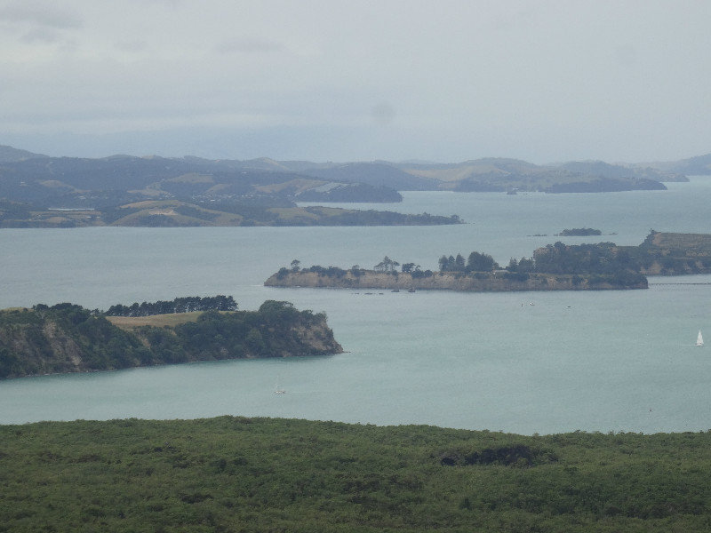 hiking in Auckland