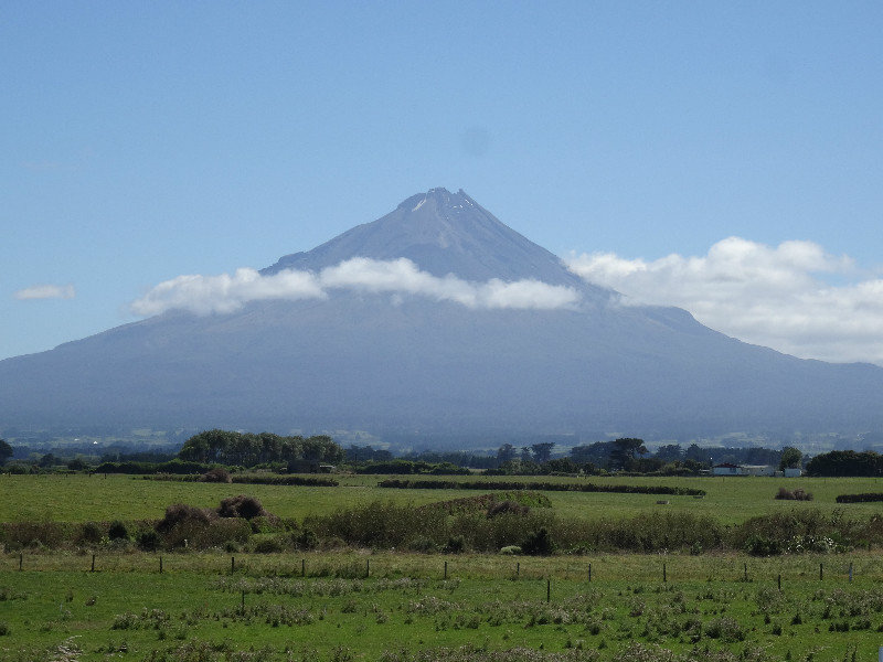 Egmont National Park- it was a perfect day to see the mountain!