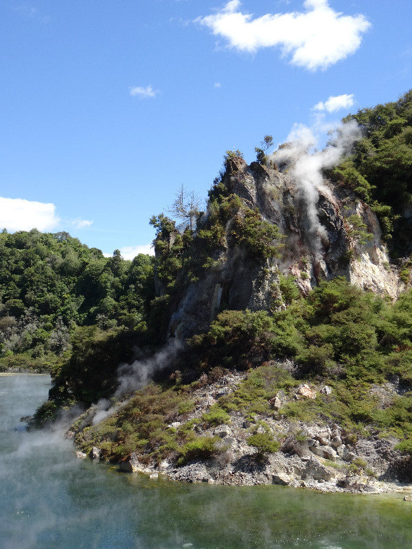 Waimangu thermal area with some steaming rocks