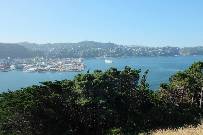 view over Wellington