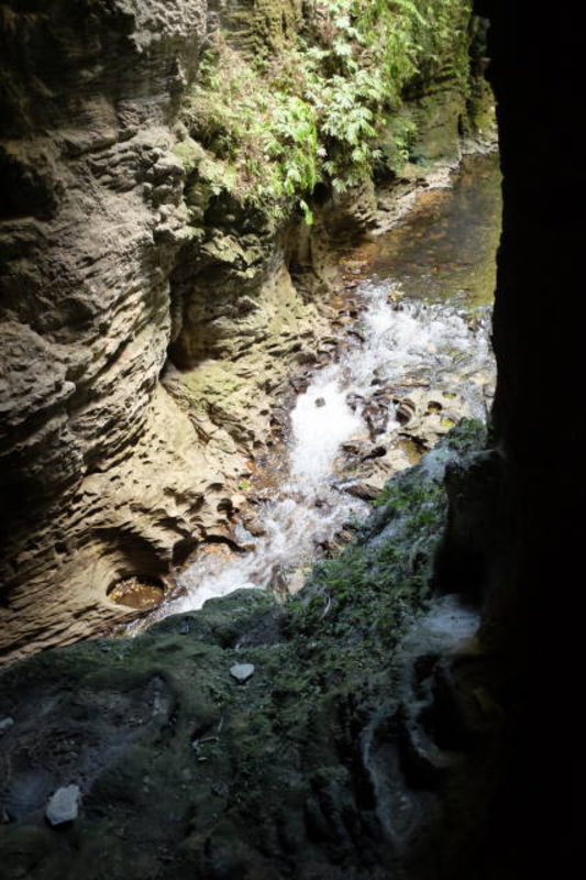 Waitomo - river flowing through a cave