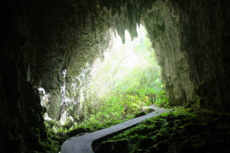 Waitomo - cave entrance
