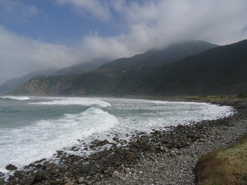 the road from the ferry in Picton down to Kaikoura is quite scenic