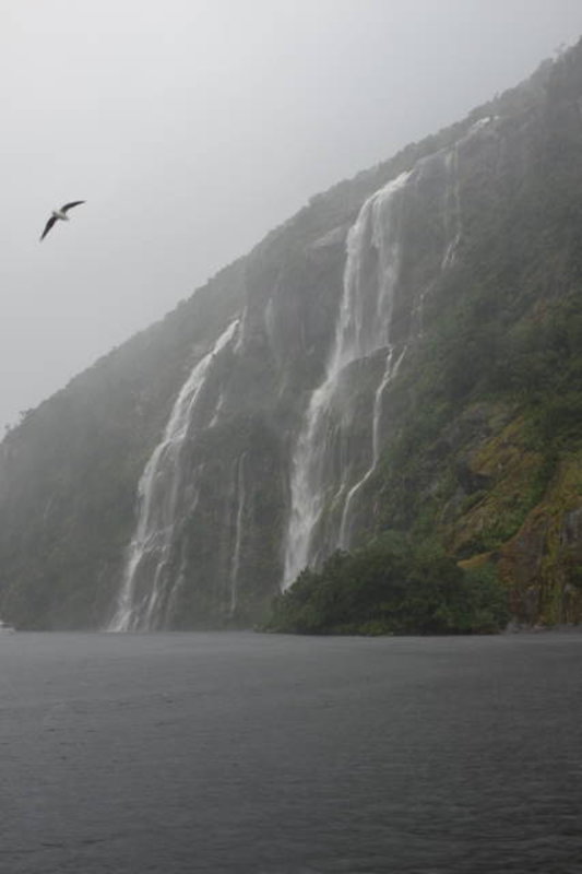 Doubtful Sound - waterfalls