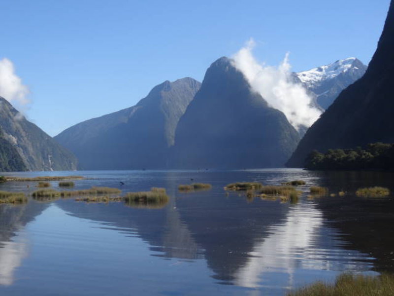 Milford Sound - view into the Sound