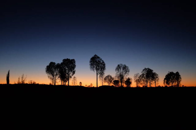 Uluru-Kata Tjuta NP - Waiting for sunrise