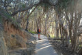 the track on Noosa coast ran through beautiful forest