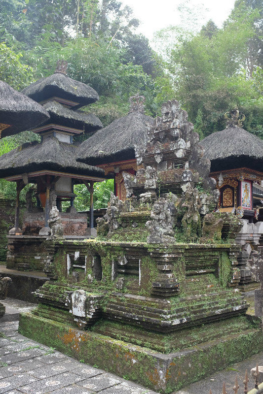 visiting a temple near Ubud