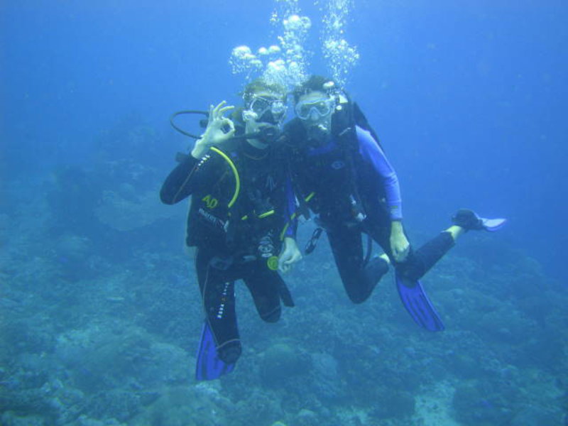 Amed - diving together