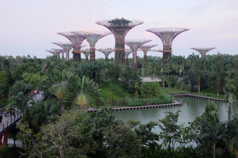 Singapore - Gardens By The Bay