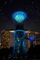 Singapore - lightshow on the mushroom