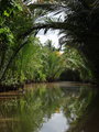 Mekong delta - river cruising