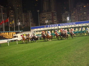 at the races