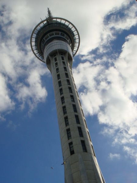 the Sky Tower in Auckland