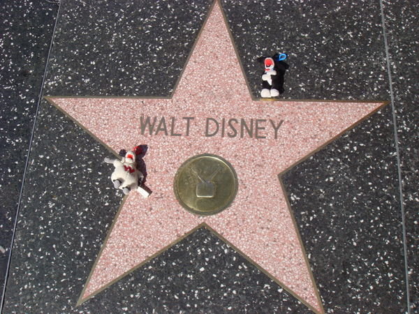 Woolly and Woof loved the Hollywood Walk of Fame