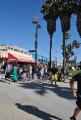 Venice Beach e un assaggio di fauna