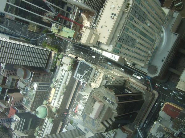From the Sydney Tower