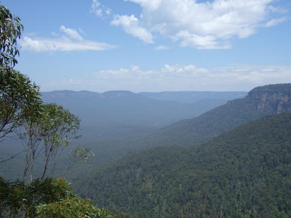 The Blue Mountains