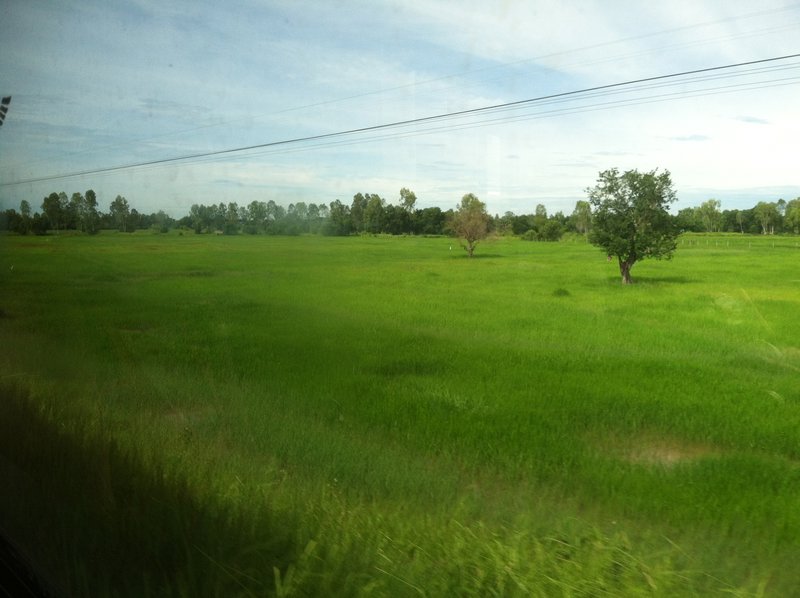 The view from the train....