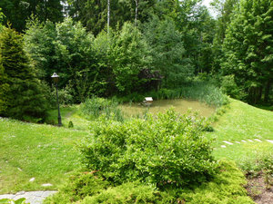 Duck Pond at Resort