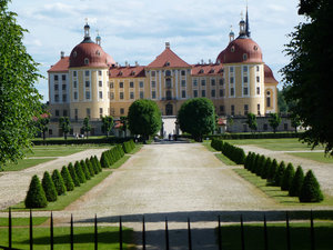 Carriage Ride around the Moritzburg Castle grounds