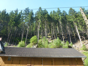 View above the Lichtenhain Waterfalls