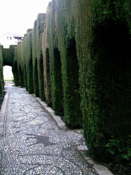 Generalife hedging, Alhambra
