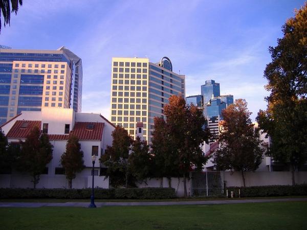 Downtown San Diego viewed from the park