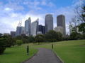 The Central Business District (CBD) from the Botanic Gardens