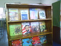 The Reading Area in my classroom 2