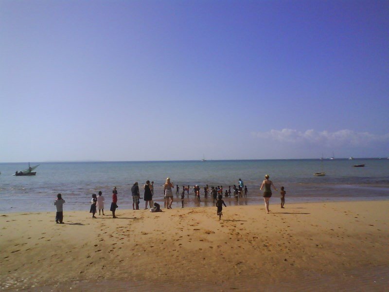 Cat and children running to the sea (2010)