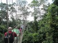 Treetop walk at Kakum National Park!