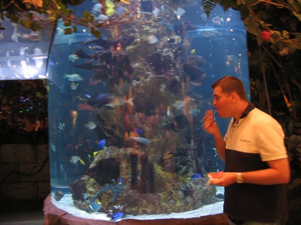 Zoutwater aquarium!!!