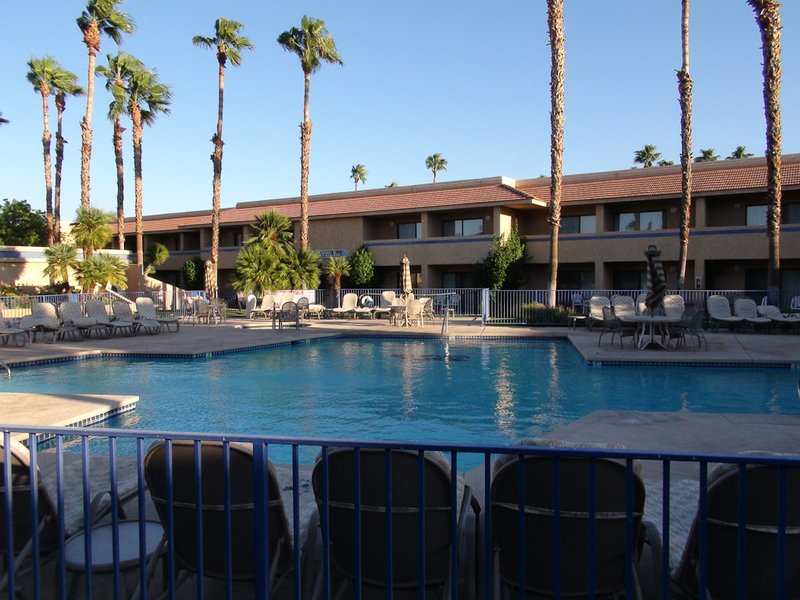 Zwembadje in Palm Springs