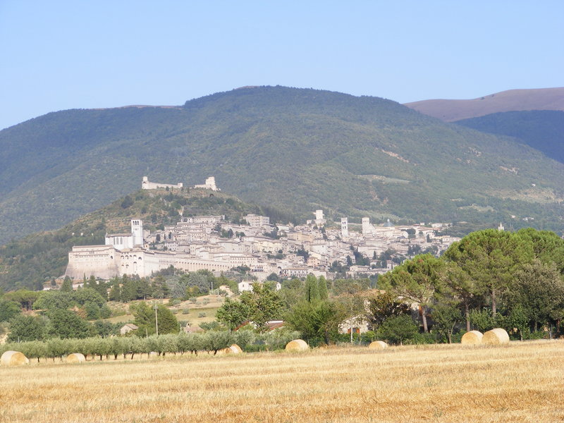 Assisi from a distance