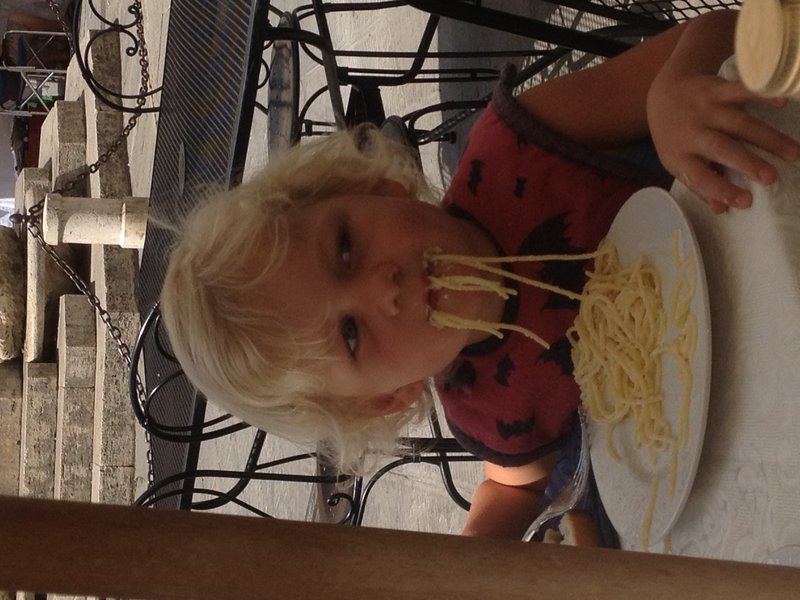 Sabre eating spaghetti