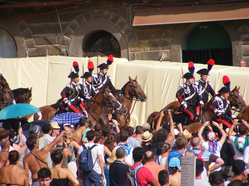The horses that preceded the parade 